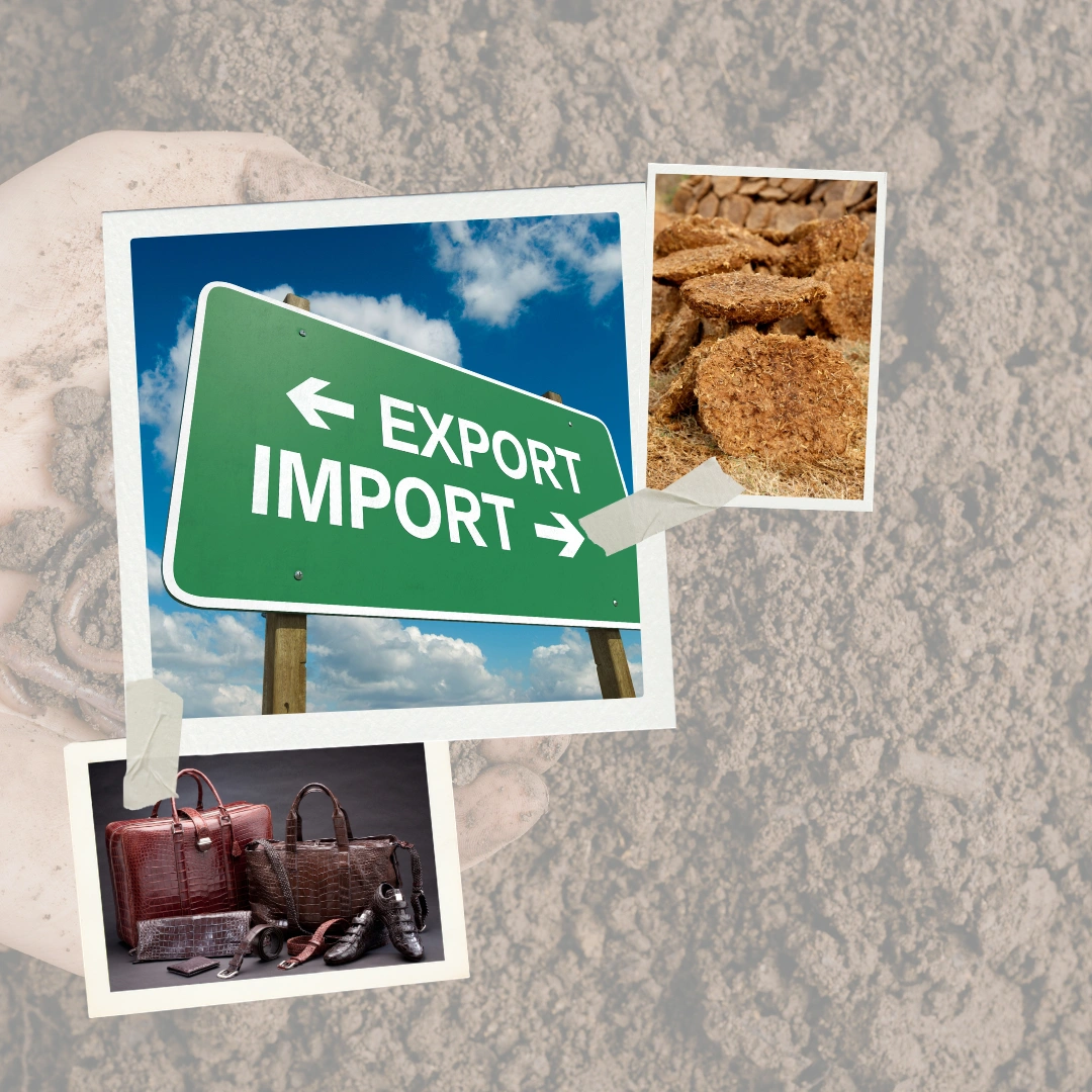 About GM GLOBLE TRADE LINKs