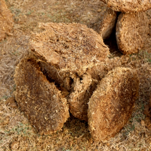Cow Dung Cake