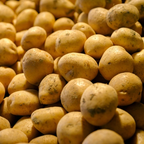 Potato